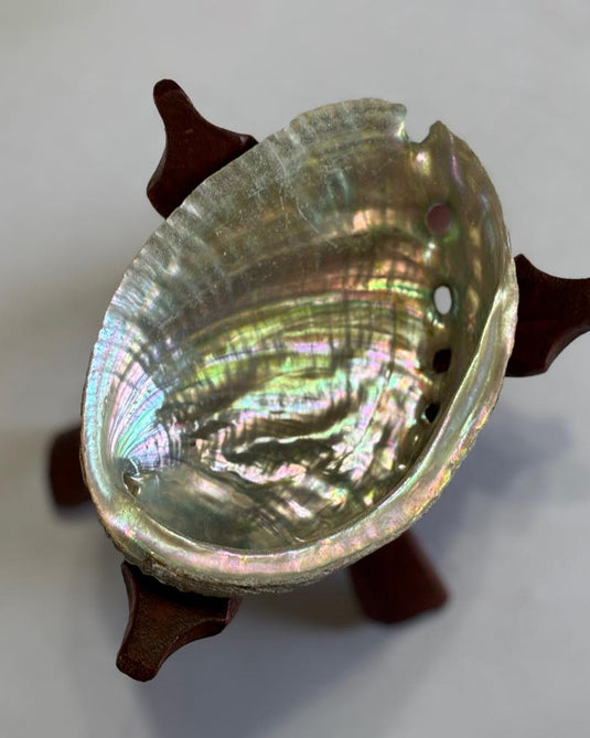 Abalone Smudge Bowl Medium