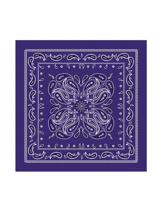 Satin/Silk bandanas 27x27”