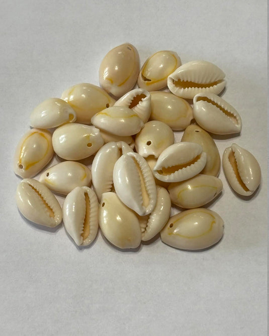 Yellow Cowrie Shells
